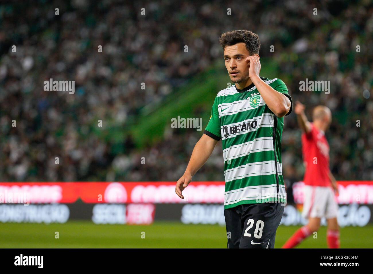 Pedro Goncalves Liga Portugal Game Sporting Vizela Estadio Jose Alvalade –  Stock Editorial Photo © mrogowski_photography #670811184