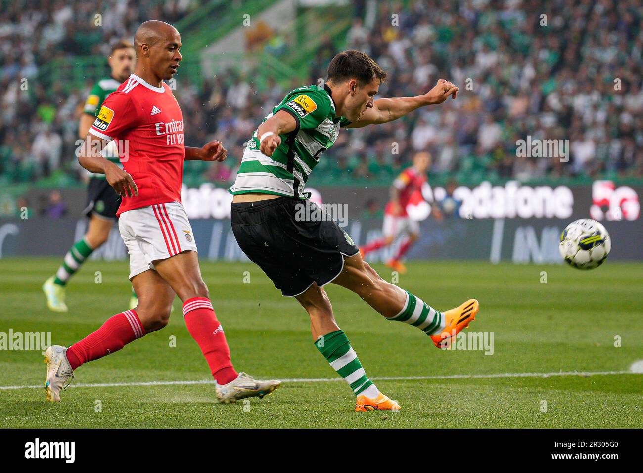 Morita (Sporting) e Nakamura (Portimonense) convocados para os