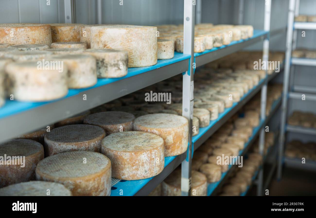Cave cheese hi-res stock photography and images - Alamy
