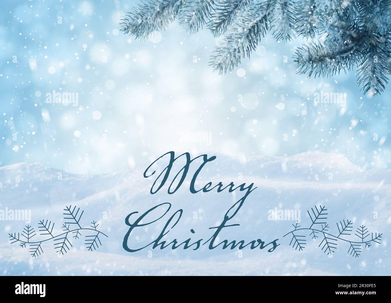 Merry Christmas. Beautiful fluffy snow and fir tree outdoors Stock Photo -  Alamy, image size:1300x1010
