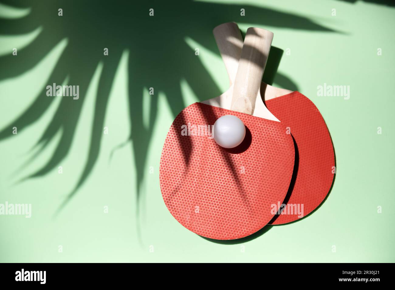 Green ping pong table with ball resting on a table tennis bat paddle Stock Photo