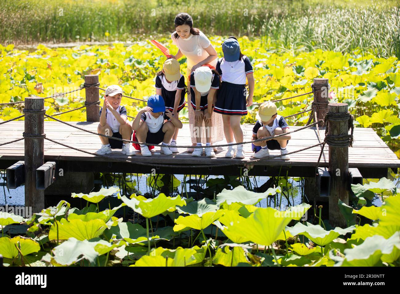 Children pond teacher hi-res stock photography and images - Alamy