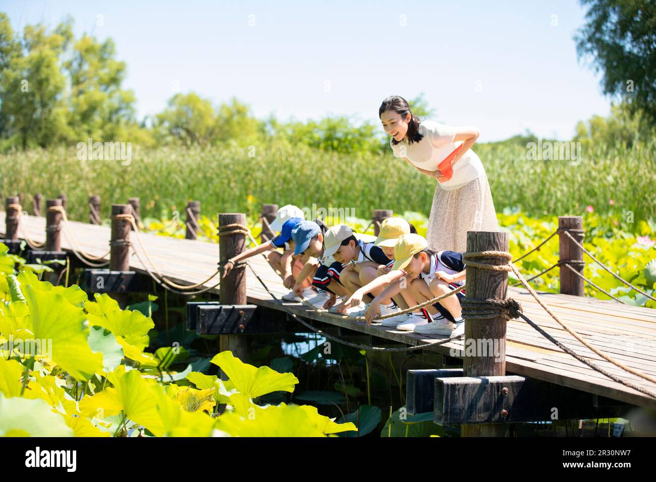 Children pond teacher hi-res stock photography and images - Alamy