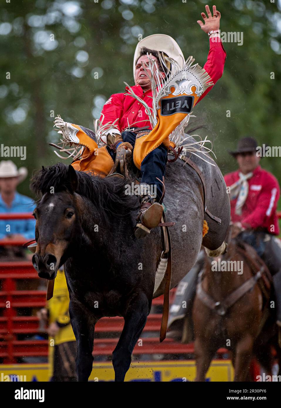 Surrey, Canada. 21st May, 2023. A rider competes in rodeo events, which ...
