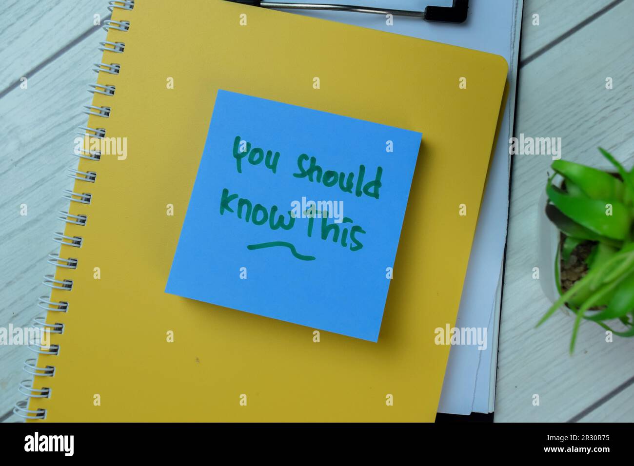 Concept of You Should Know This write on sticky notes isolated on Wooden Table. Stock Photo