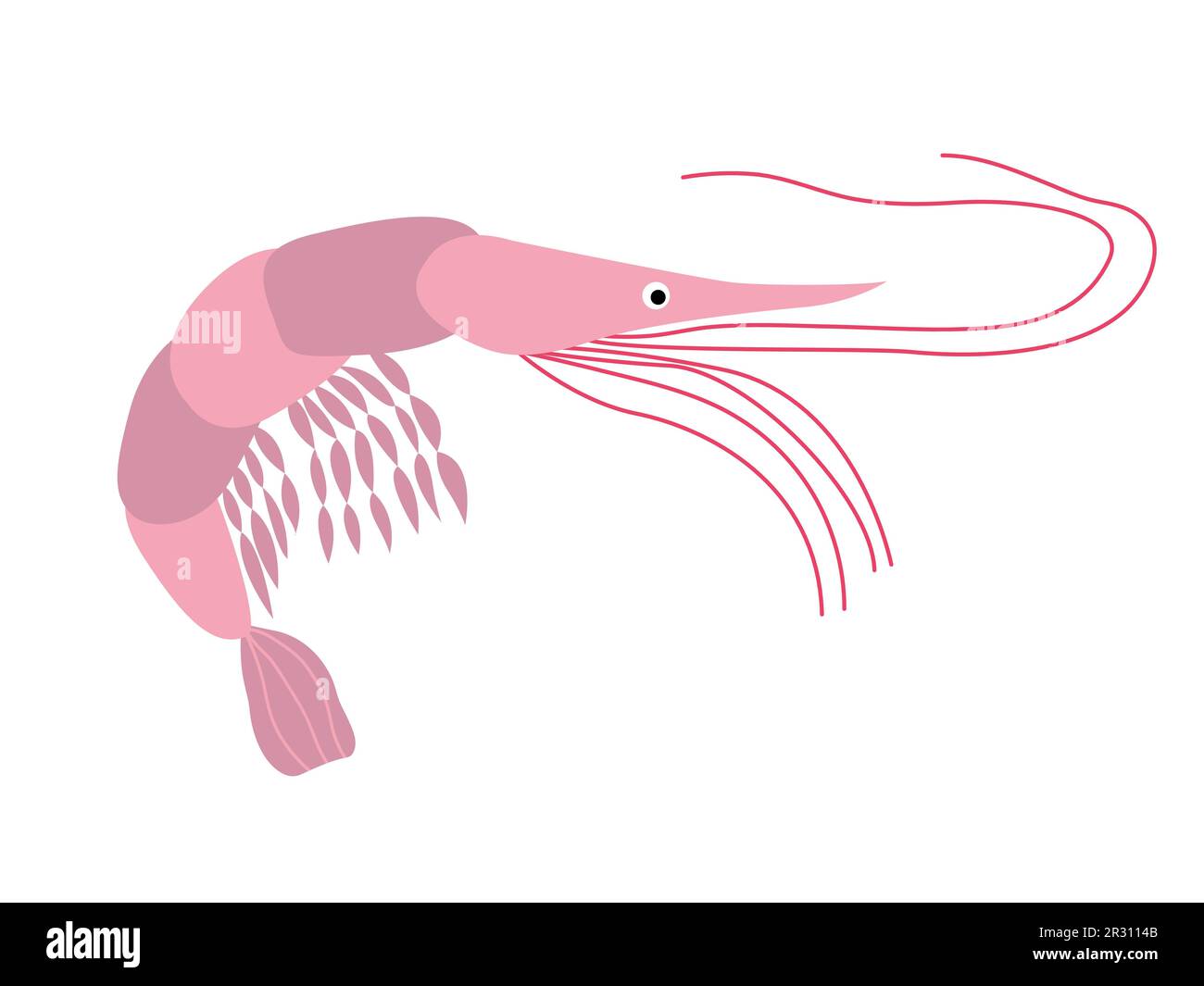 Vector pink shrimp Stock Vector Image & Art - Alamy
