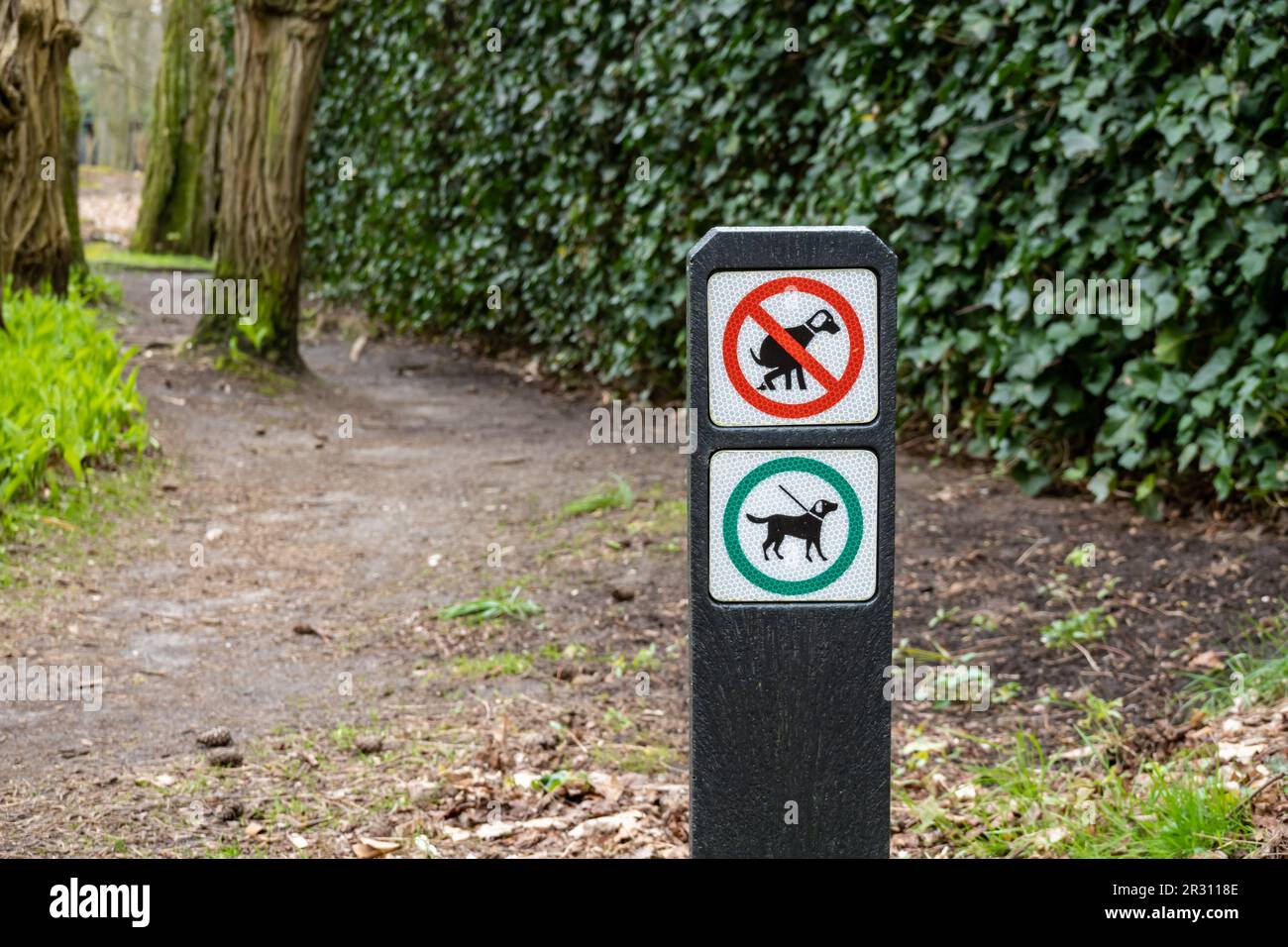 Signpost with pictograms for dogs forbidden to defecate and dogs must be on leash on footpath in woodland, Hilversum, Netherlands Stock Photo