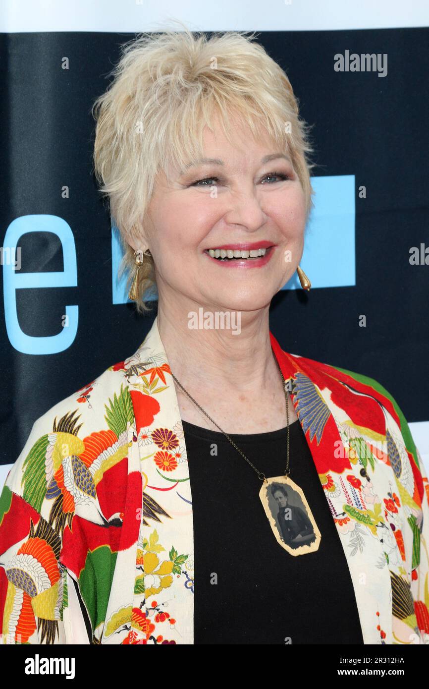 LOS ANGELES MAY 17 Dee Wallace at the Dance and Dialogue 10th