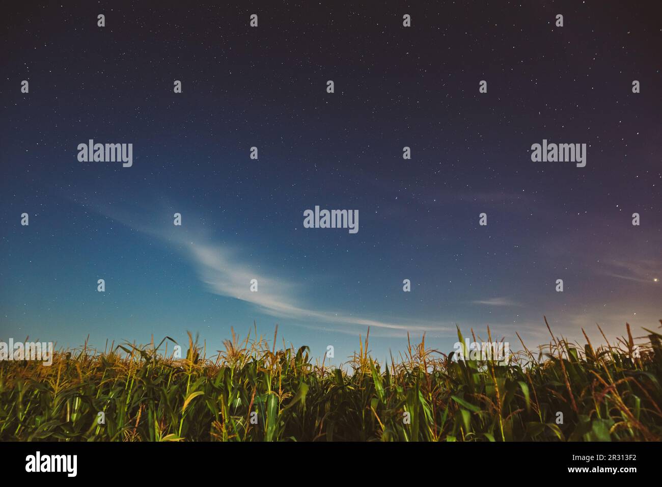 Moonlight star stars starry sky hi-res stock photography and images - Alamy