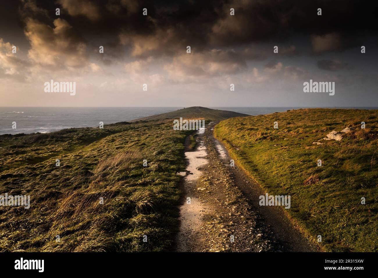 Evening light over a rough footpath on the rugged Pentire Point East on the coast of Newquay in Cornwall in England in the UK. Stock Photo