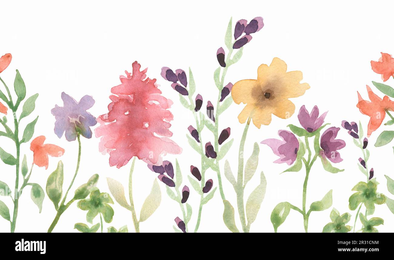 Watercolor wildflowers and butterfly seamless border illustration ...