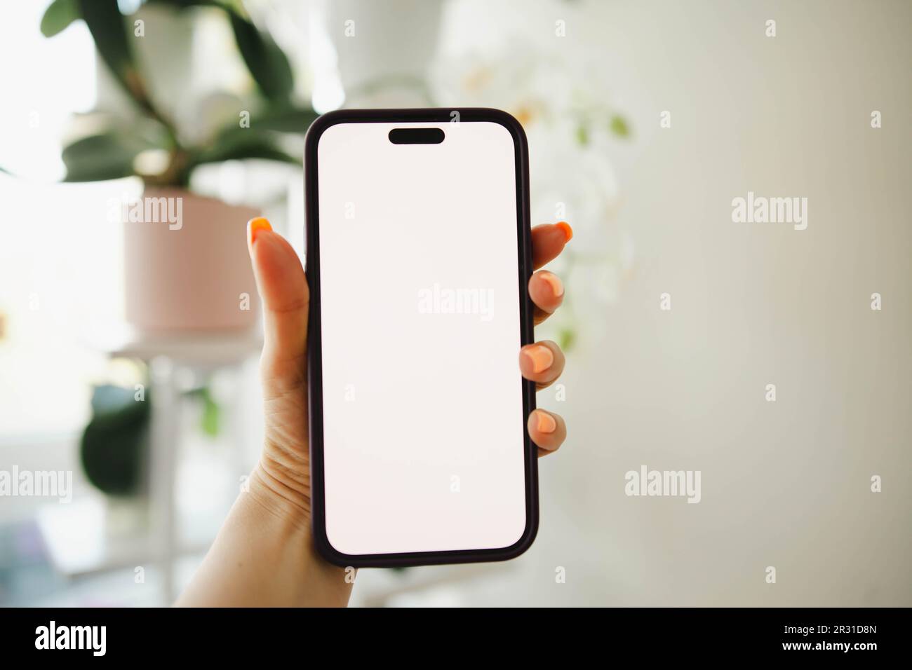 Woman's hand holding a mobile phone with a blank white screen Stock ...