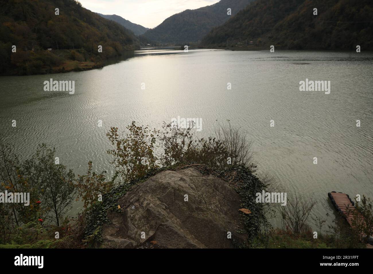 Picturesque view of beautiful river and green plants in mountains Stock Photo