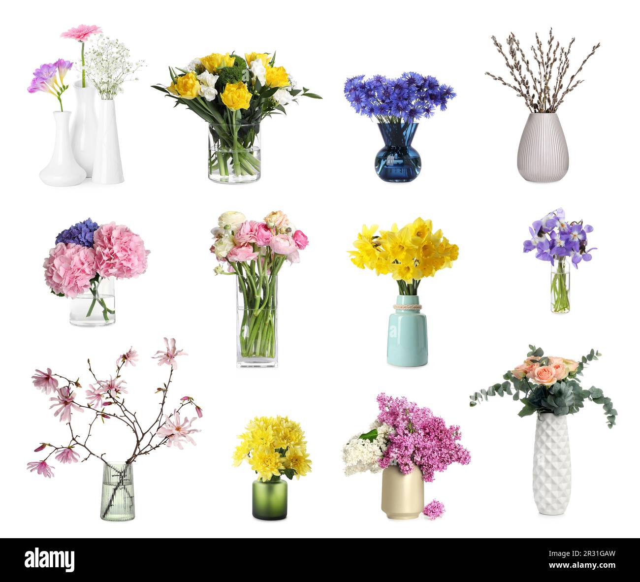Collage with various beautiful flowers in vases on white background ...