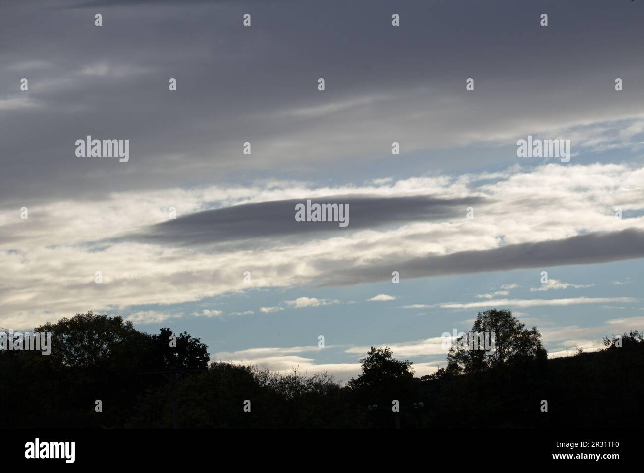 silhouette of trees in the morning with blue sky and white and dark ...