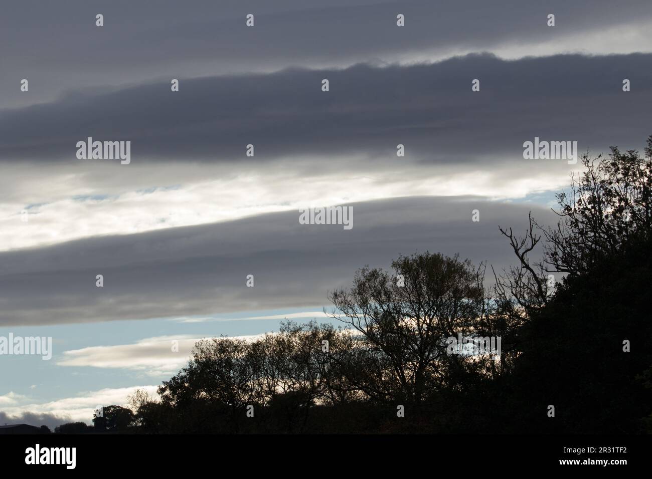 silhouette of trees in the morning with blue sky and white and dark ...