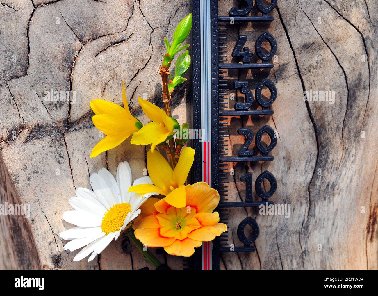20 degrees hi-res stock photography and images - Alamy
