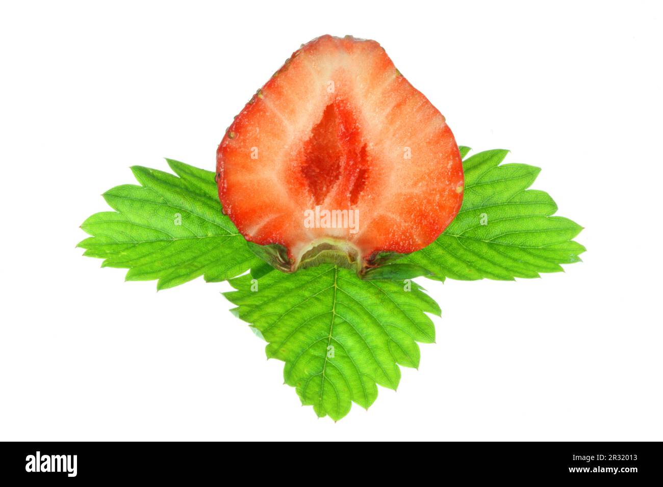 Plant strawberry slice hi-res stock photography and images - Alamy