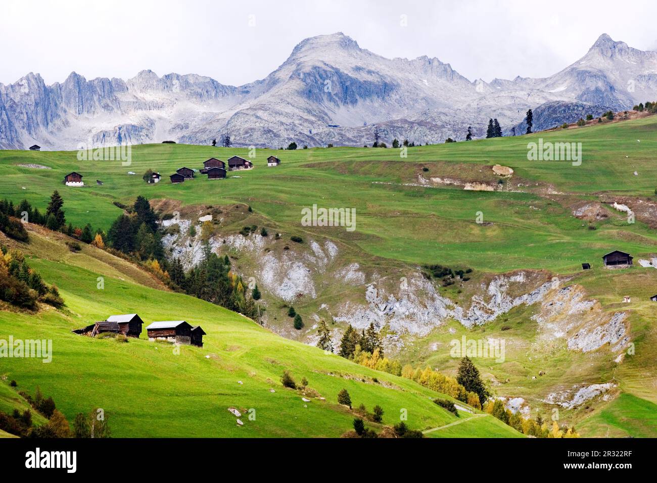 Baselgia Color Baselgia hi-res stock photography and images - Alamy