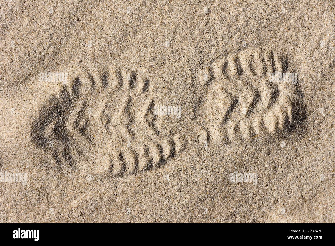 Schuhabdruck im Sand Stock Photo