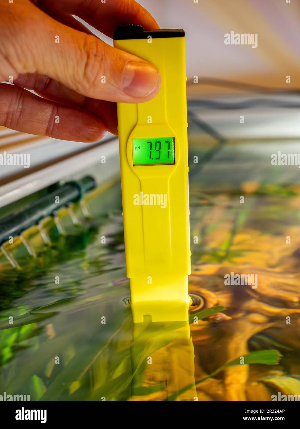 Ph meter aquarium hires stock photography and images Alamy