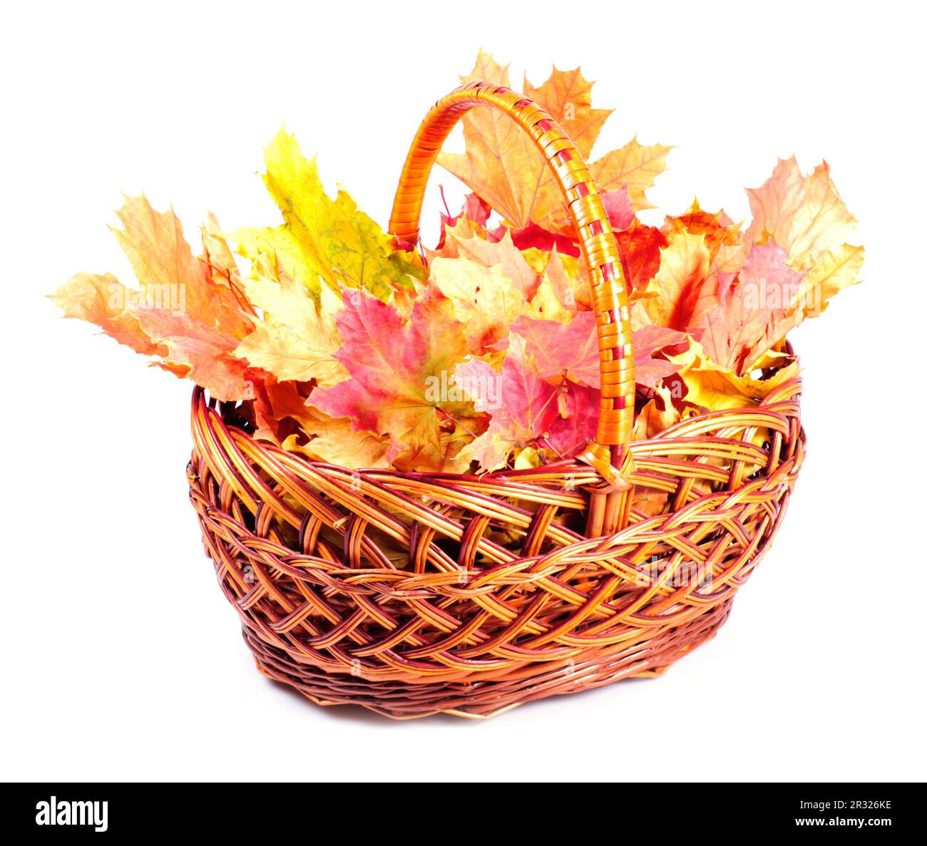 Maple leaves in basket Stock Photo - Alamy