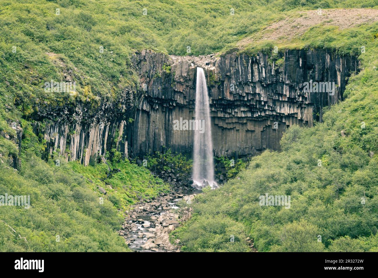 Scenic Svartifoss waterfall view from the trail in summer, Iceland Stock Photo