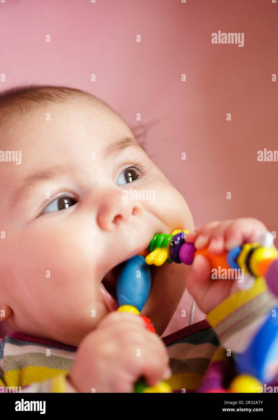 Baby are gnawing a toy Stock Photo