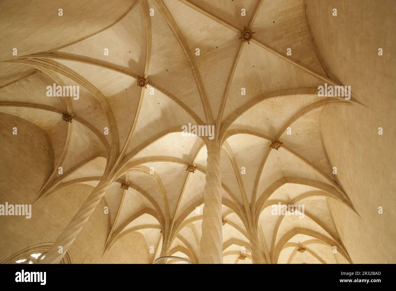 Columnas estriadas en espiral.La Llotja , siglo XV.Palma.Mallorca.Islas Baleares. España. Stock Photo