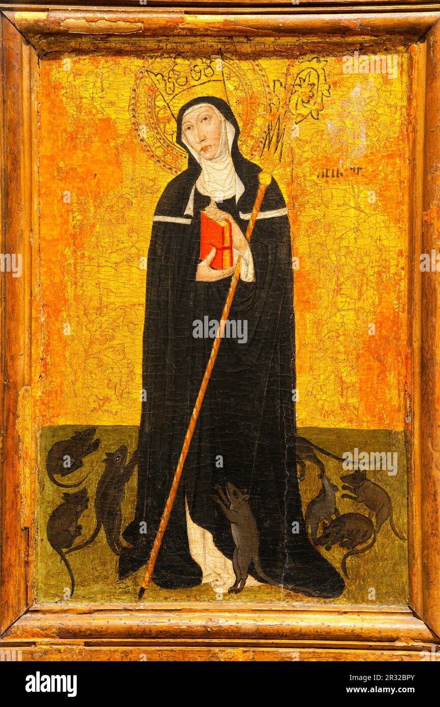Saint Gertrude of Nivelle, invoked by farmers against the plague of rats, 1455-1459, Joan Rosetó, temple on wood, Palau Episcopal, -Diocesà Museum of Mallorca-, mallorca, balearic islands, spain, europe. Stock Photo