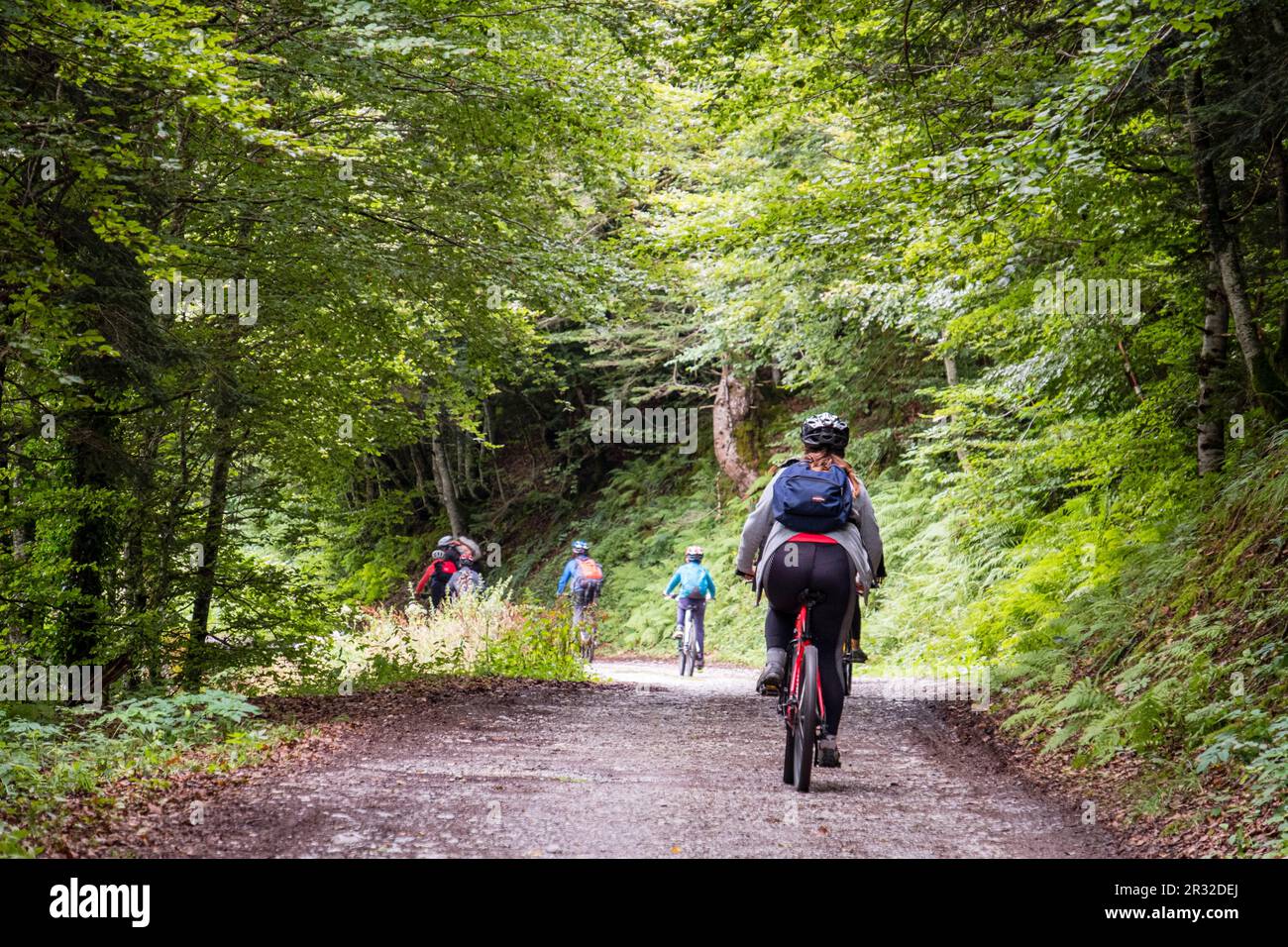 escursion juvenil en bicicleta de montaña, pista de Anapia a prados de Sanchese, trekking de las Golondrinas, Lescun, región de Aquitania, departamento de Pirineos Atlánticos, Francia. Stock Photo