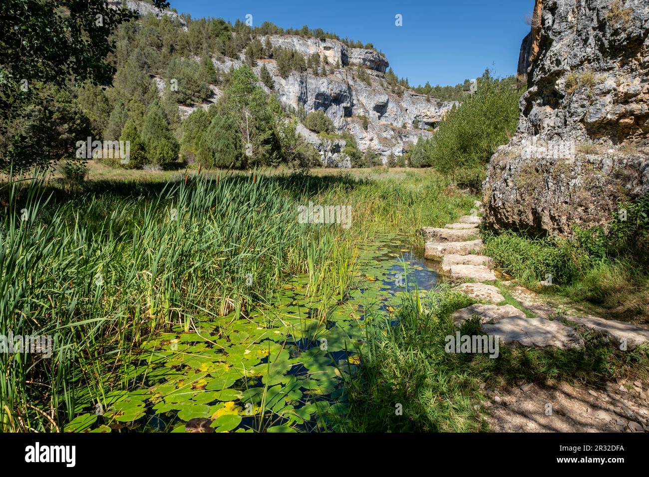 Parque del sendero del castillo hi-res stock photography and images - Alamy