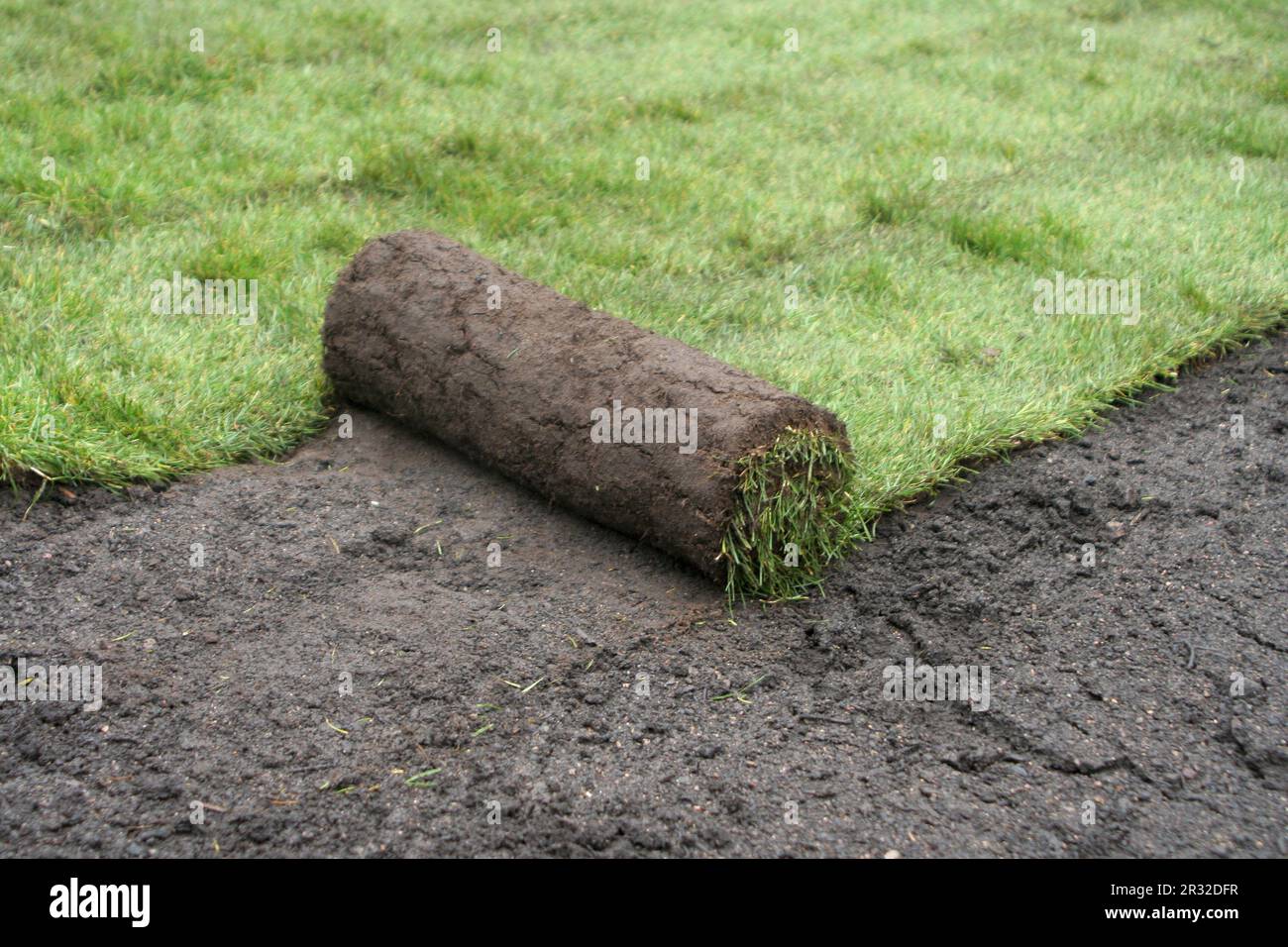 To lay a new turf Stock Photo