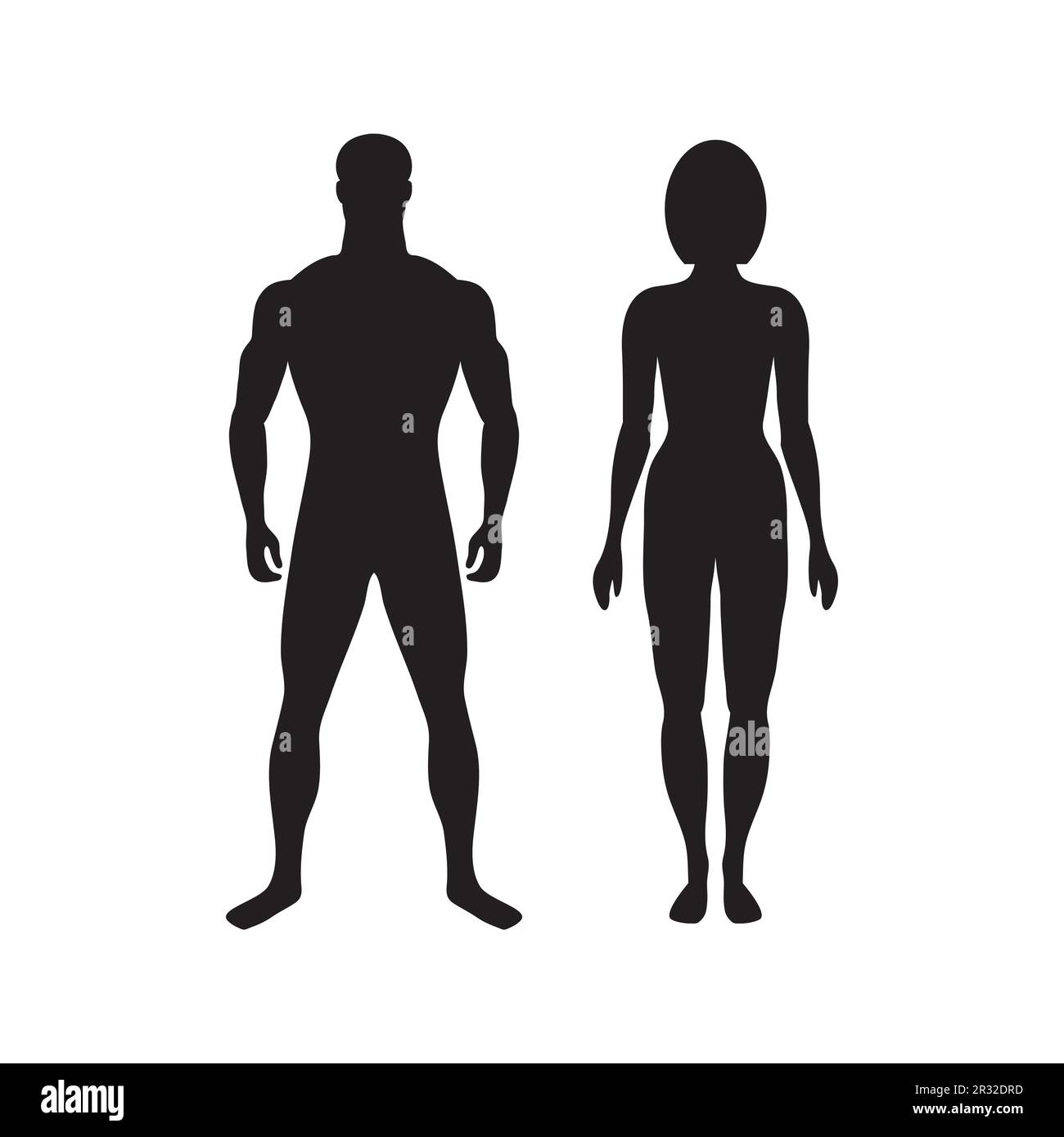 Male and female figures. Gentleman and lady. Impersonal characters of proportional physique. Young couple. Outlines of strong healthy human bodies. Po Stock Vector
