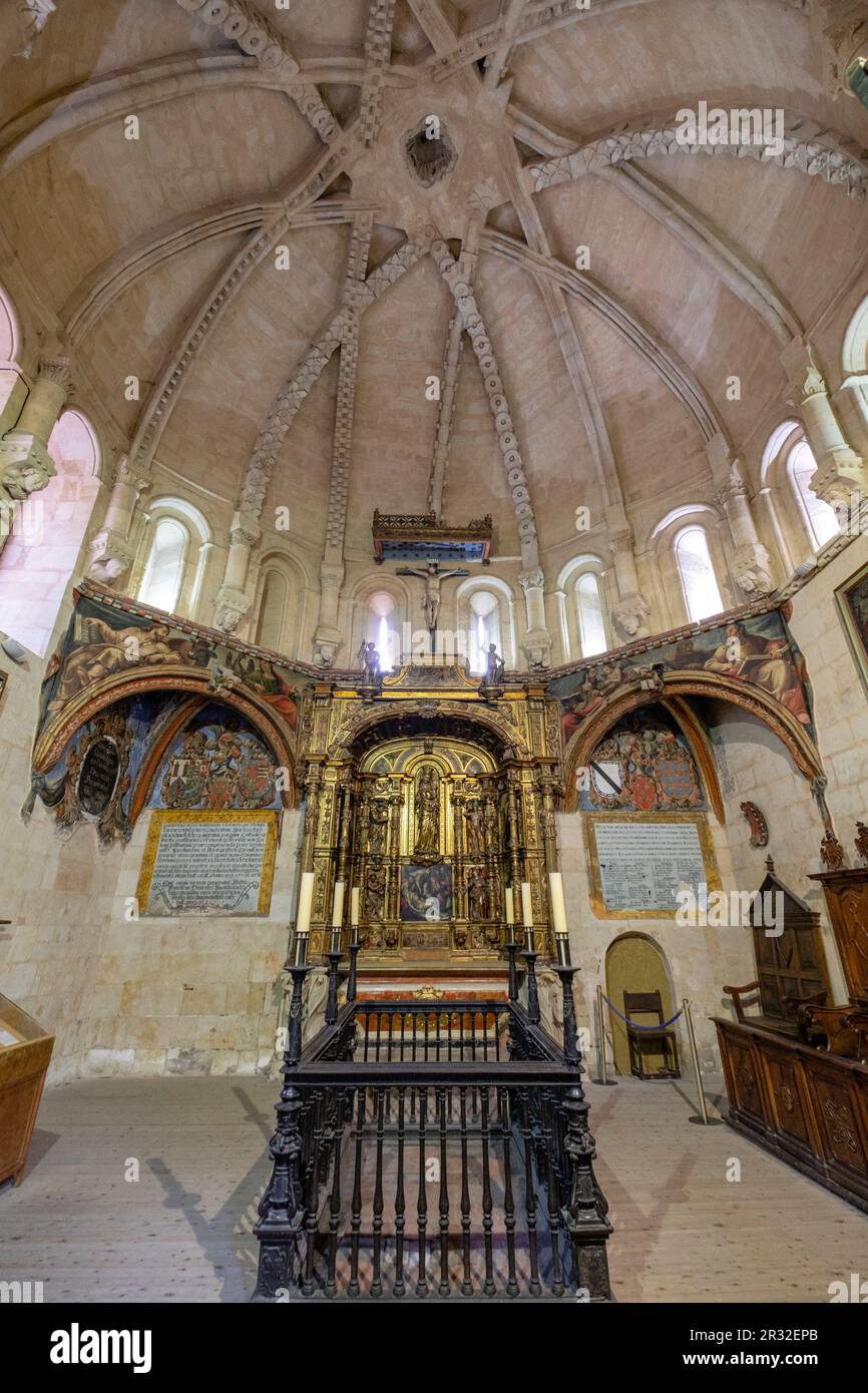 capilla de San Salvador, Catedral de la Asunción de la Virgen, Salamanca, comunidad autónoma de Castilla y León, Spain. Stock Photo