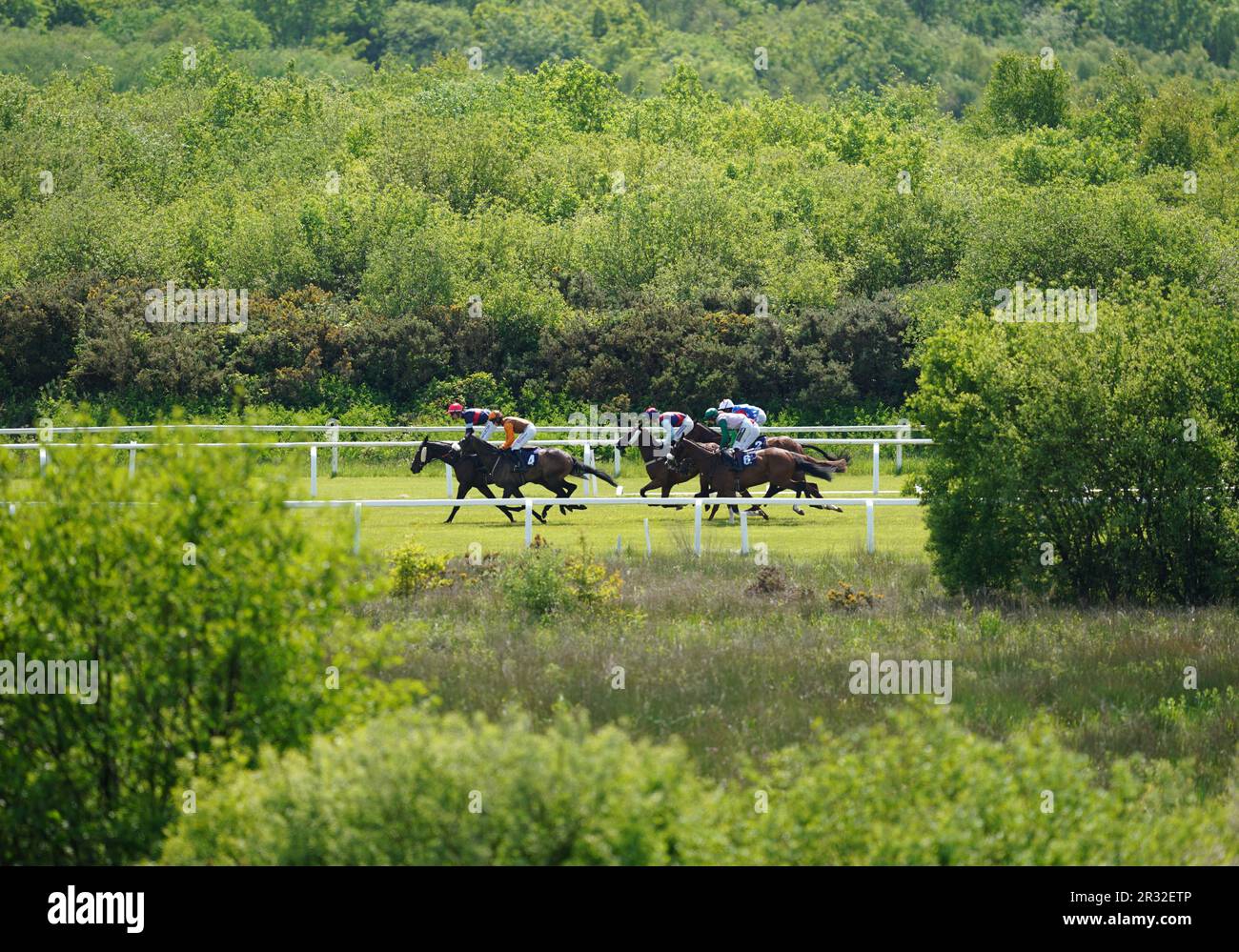 Runners and riders in the Vickers.Bet Handicap Hurdle at Ffos Las ...