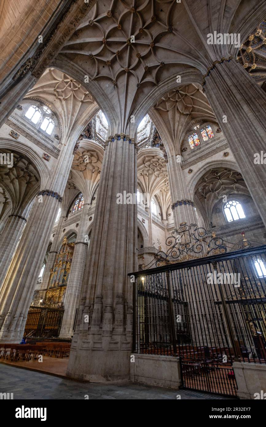 Catedral de la Asunción de la Virgen, Salamanca, comunidad autónoma de Castilla y León, Spain. Stock Photo