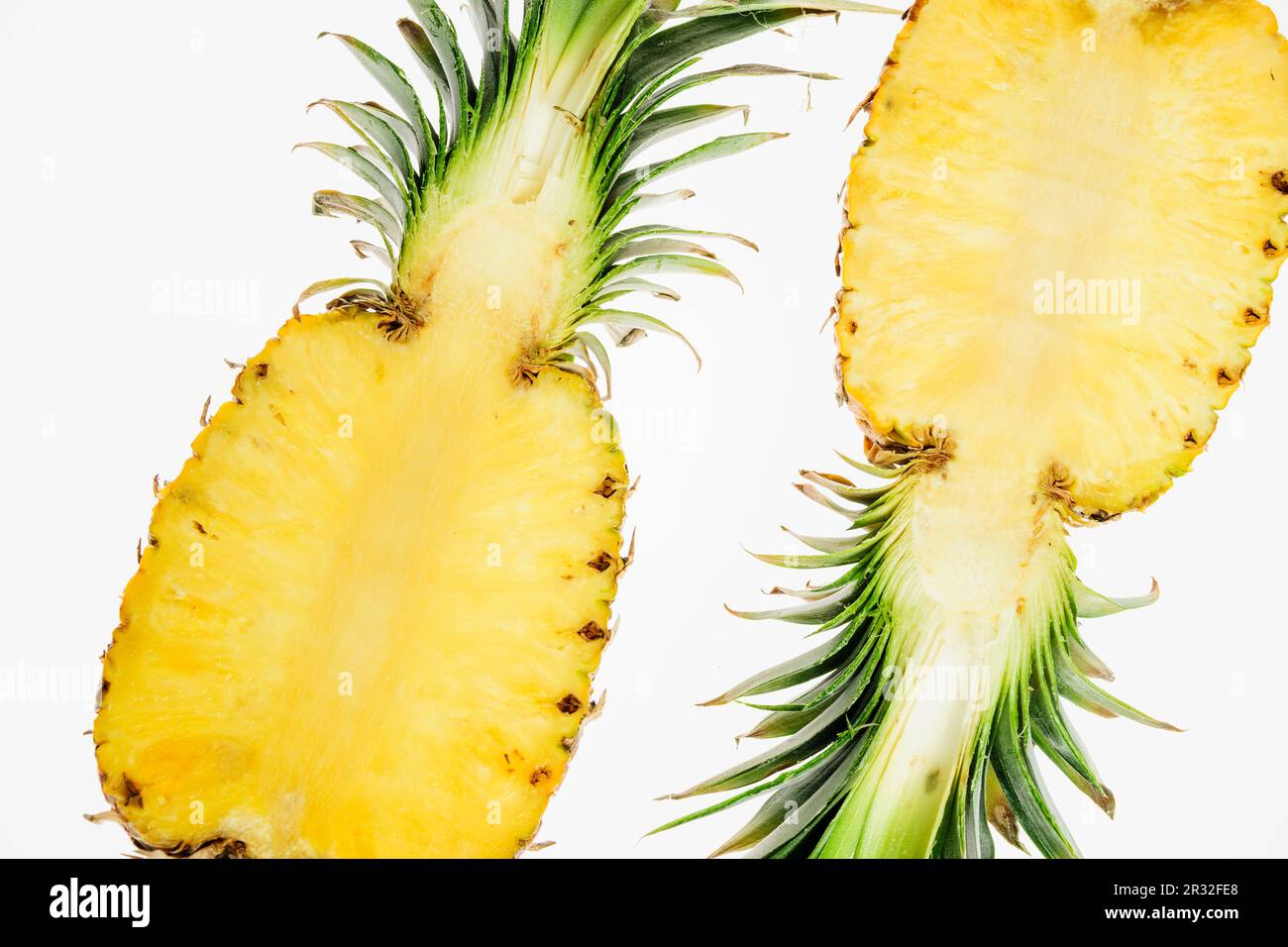 Objeto vegetal hires stock photography and images Alamy