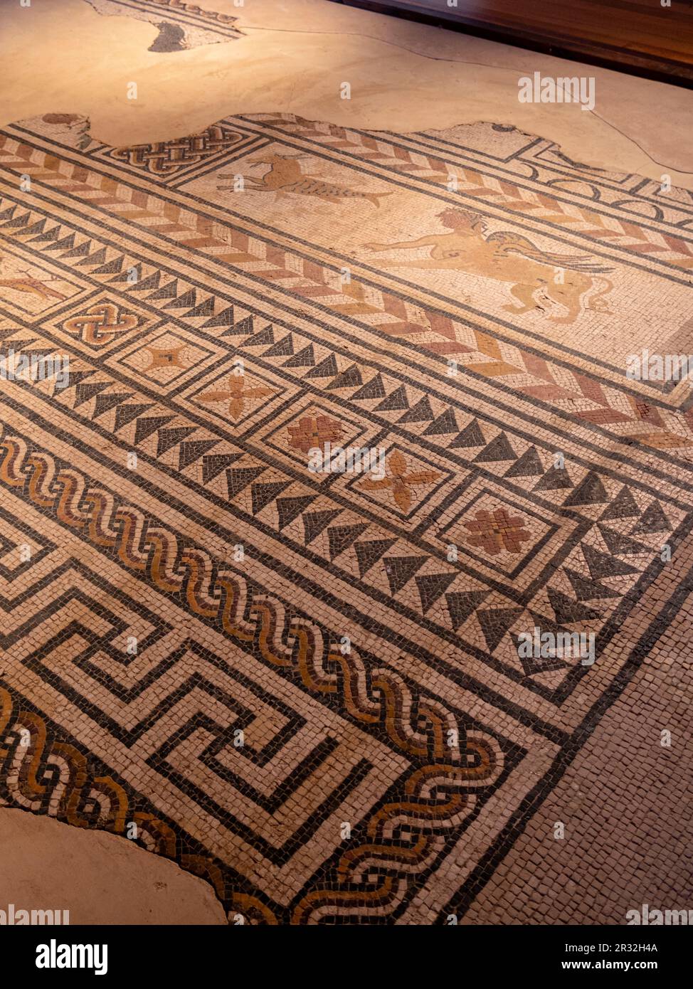 mosaicos romanos, Medinaceli, Soria, comunidad autónoma de Castilla y León, Spain, Europe. Stock Photo