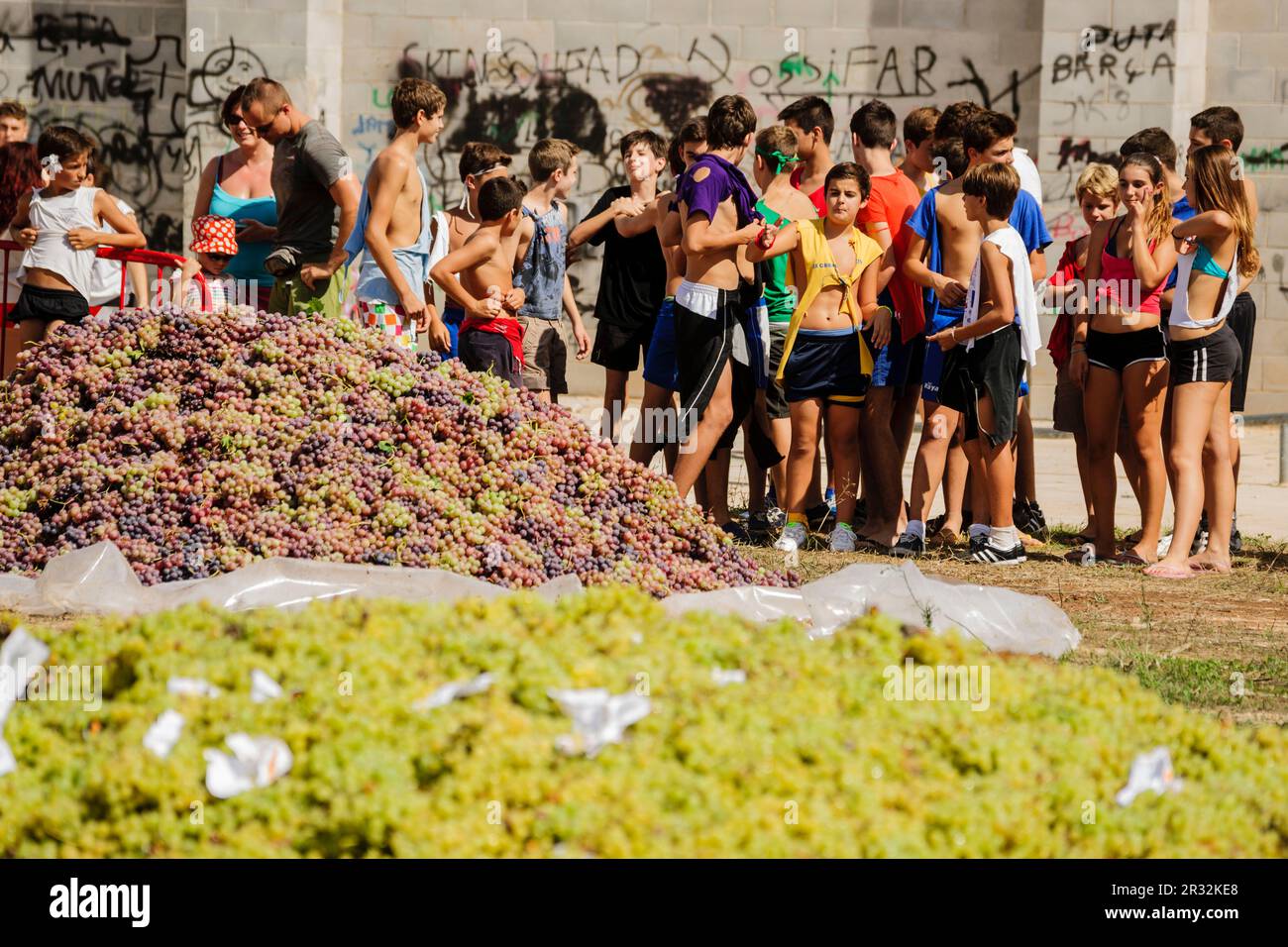 gran batalla de la uva -Gran Batalla Del Raïm-, fiestas de Es Vermar ...