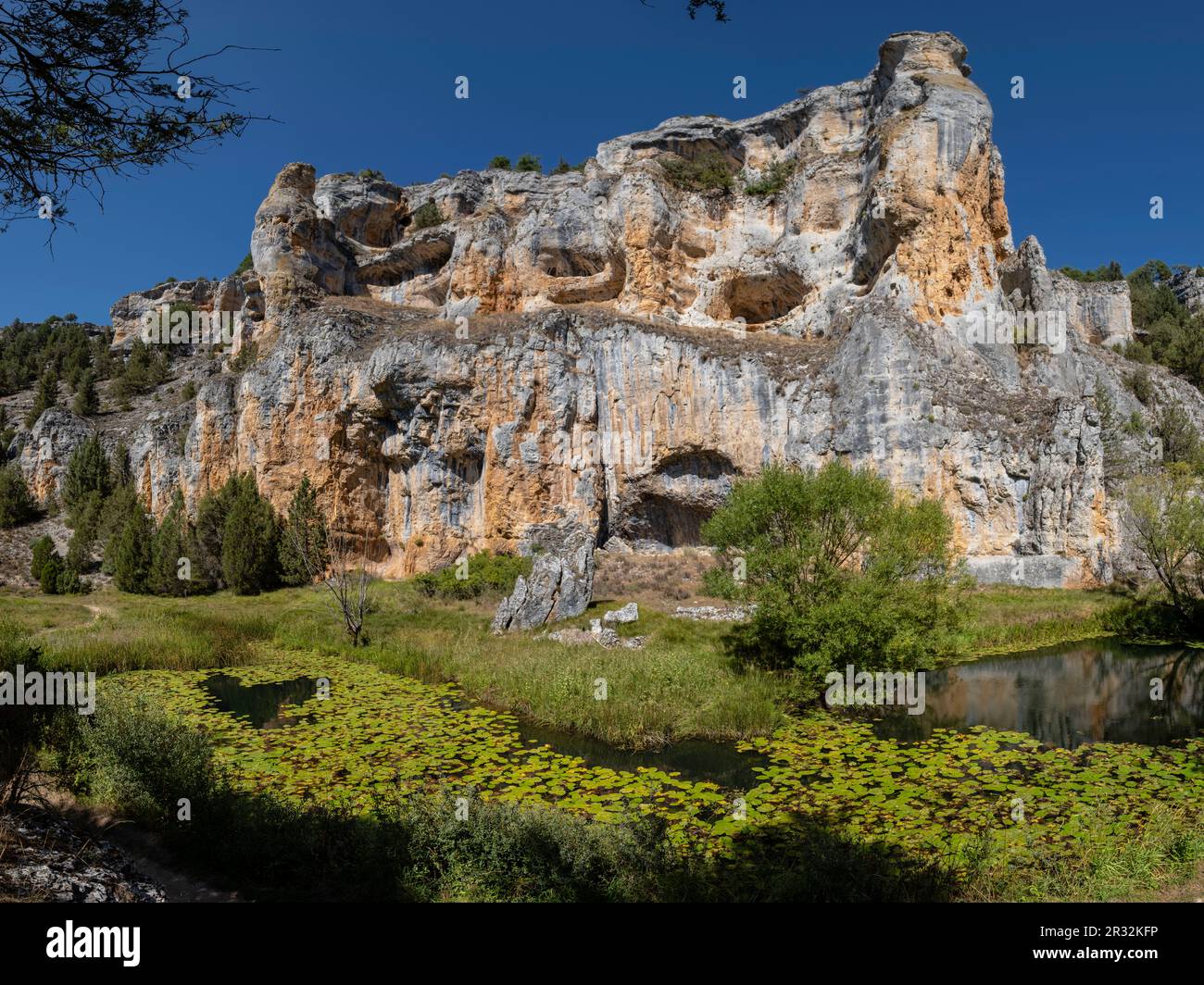 zona de reserva Castillo Billido, Parque Natural del Cañón del Río Lobos, Soria, Comunidad Autónoma de Castilla, Spain, Europe. Stock Photo
