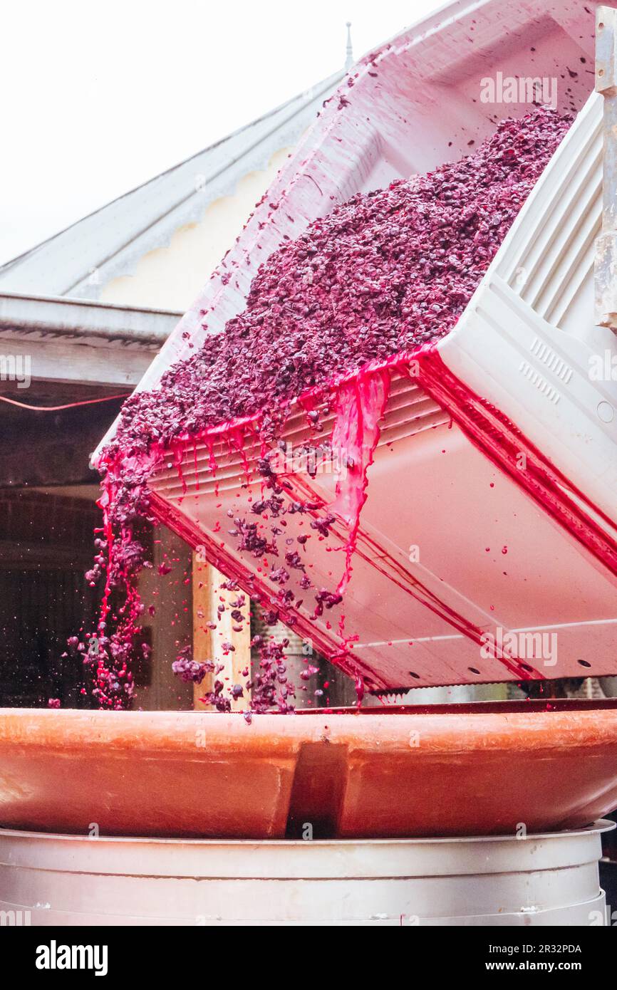 Hardys Winery in Mclaren Vale Australia Stock Photo Alamy