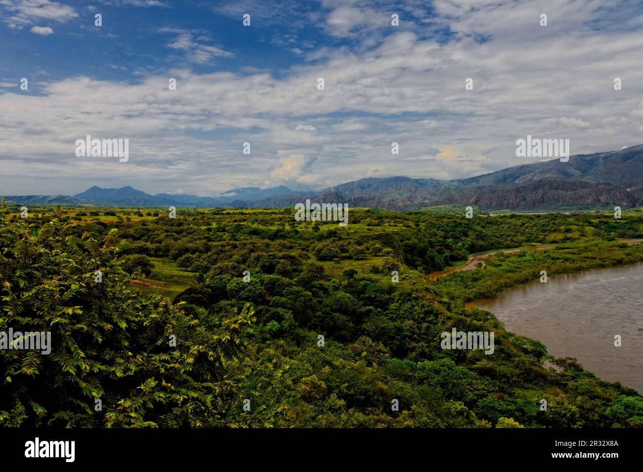 Hobo, Magdalena River, Colombia Stock Photo