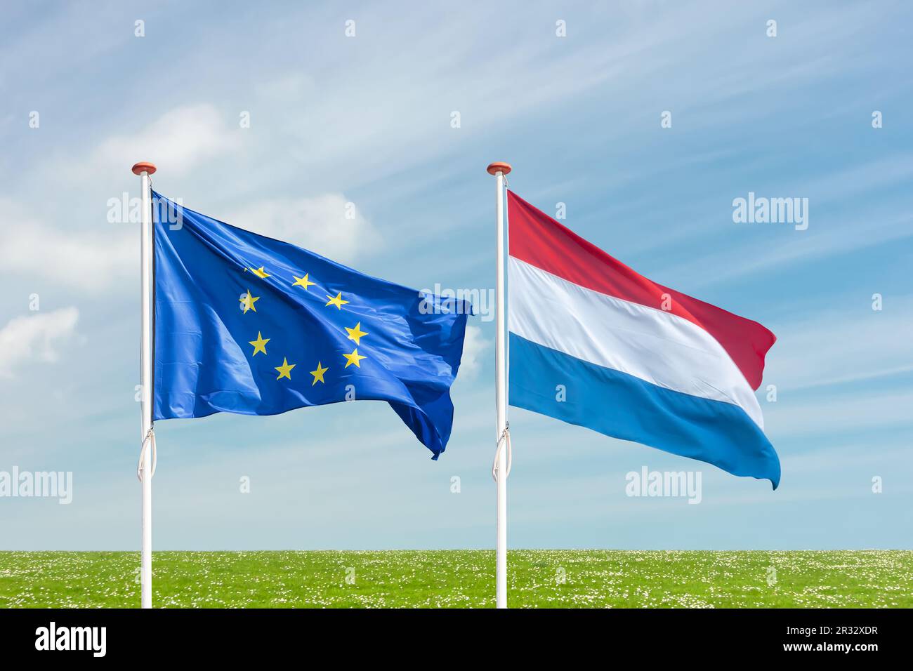 Waving flags of the European Union and The Netherlands in front of a grass meadow with blooming flowers and blue sky Stock Photo