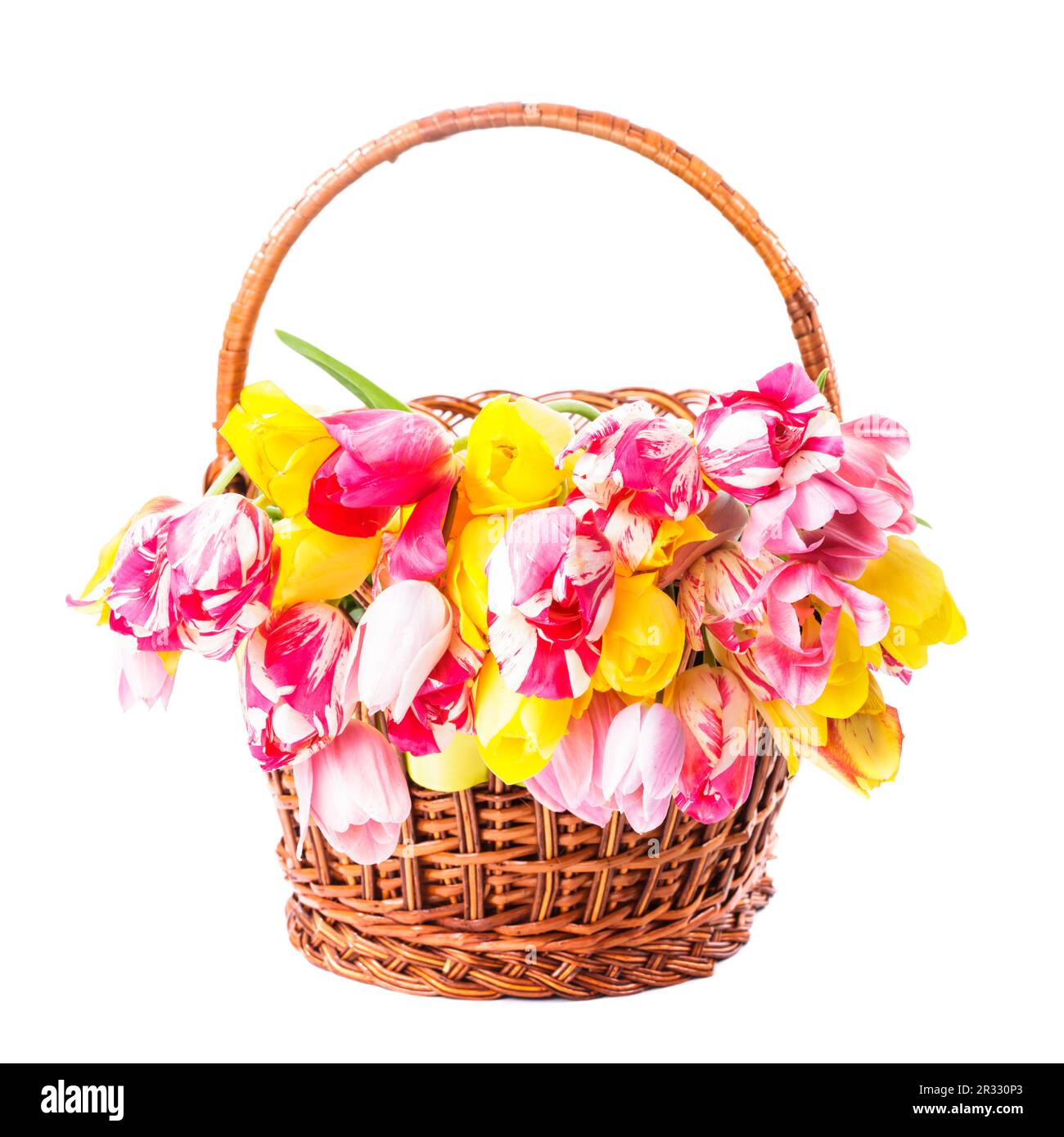 Tulips and Butterflies Wastebasket main image 1