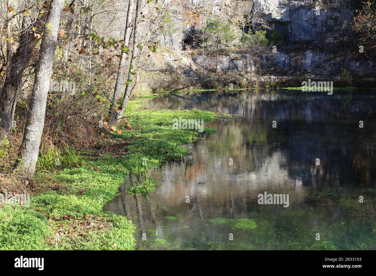 trees reflected in the water of the Ozark National Scenic Riverways