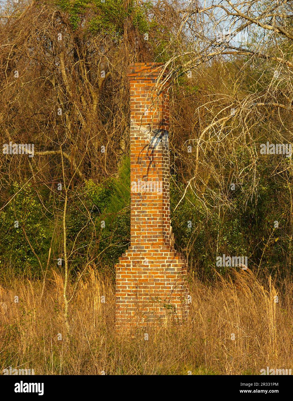 An old brick chimney is all that's left over from the previous site of an old home in North central Florida. Stock Photo