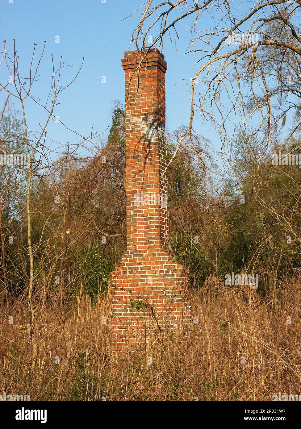 An old brick chimney is all that's left over from the previous site of an old home in North central Florida. Stock Photo