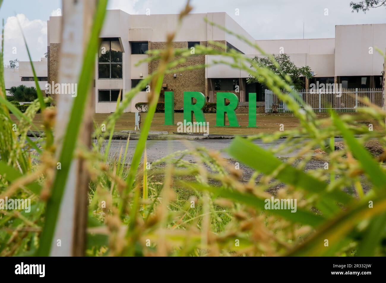 Manila 16th May 2023 The International Rice Research Institute IRRI manila-16th-may-2023-the-international-rice-research-institute-irri
