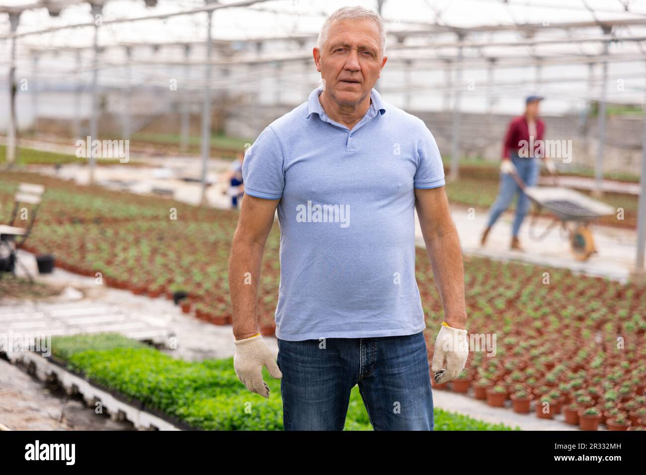 Old man worker posing joyfully in greenhouse Stock Photo